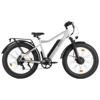 Электровелосипед Eltreco BigCat Dual Next Серебристый-матовый